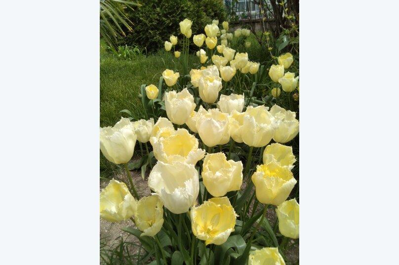 Фото Forest Club