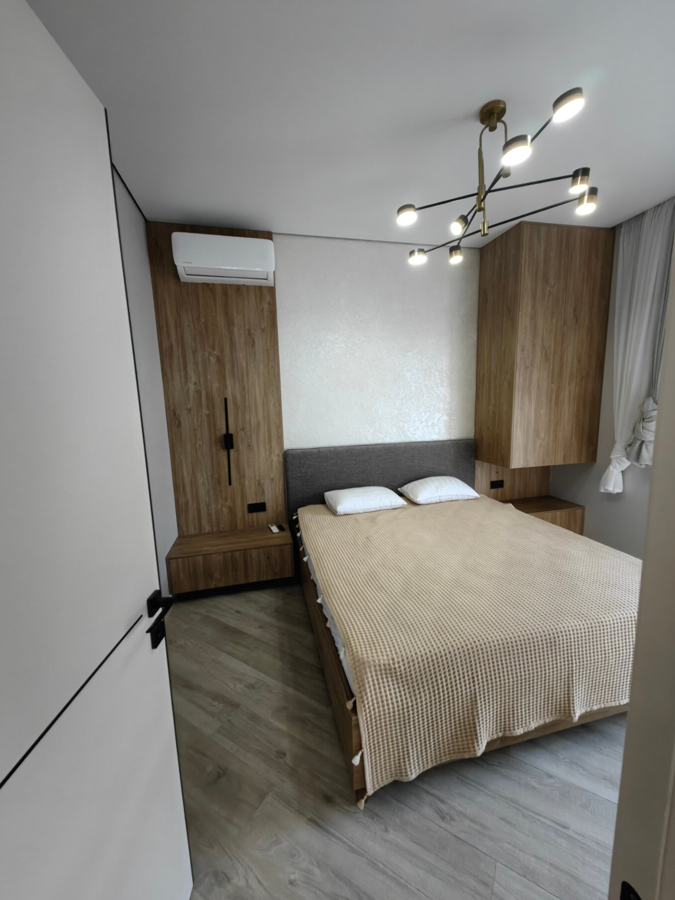 Фото Павлония