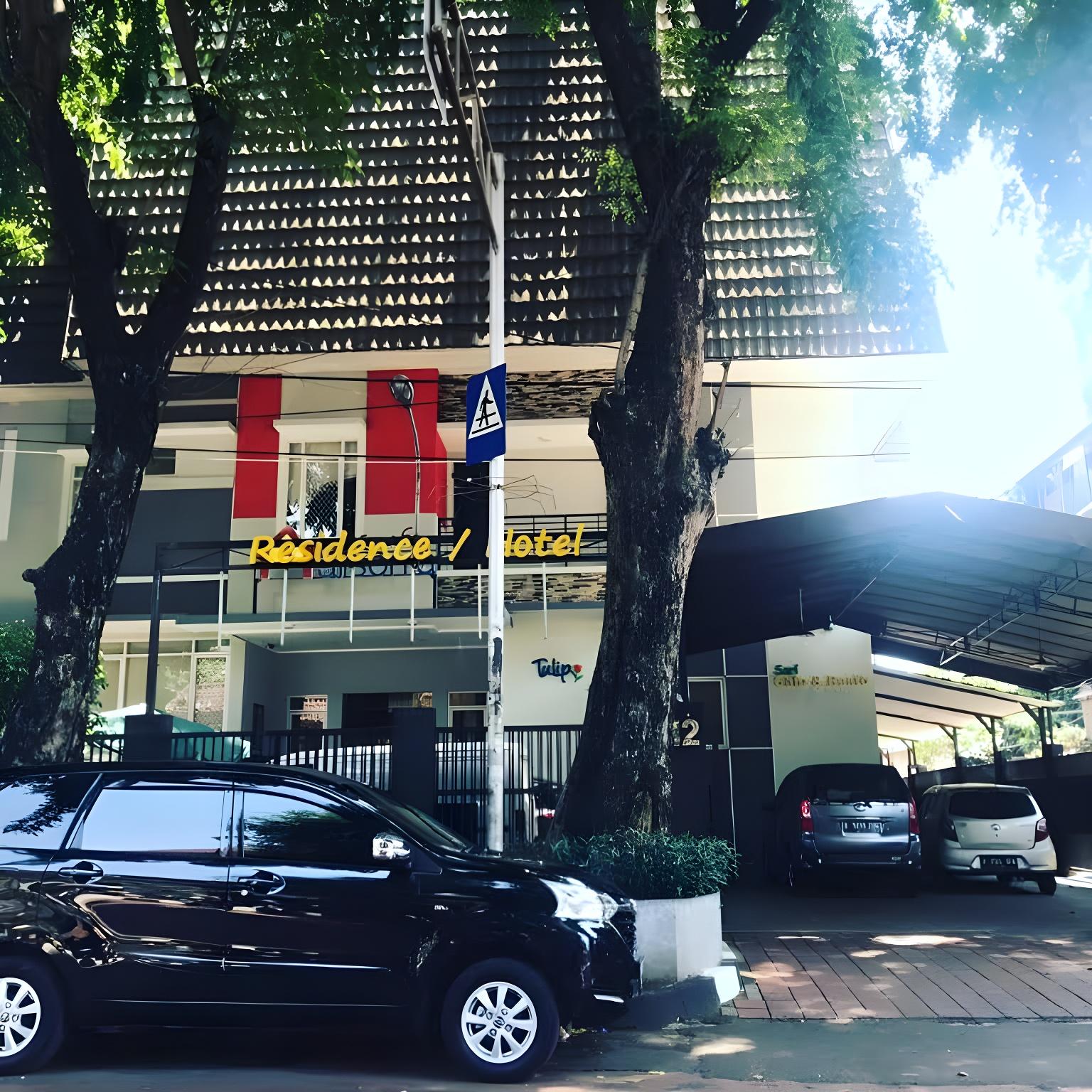 Фото House of Arsonia Tulip