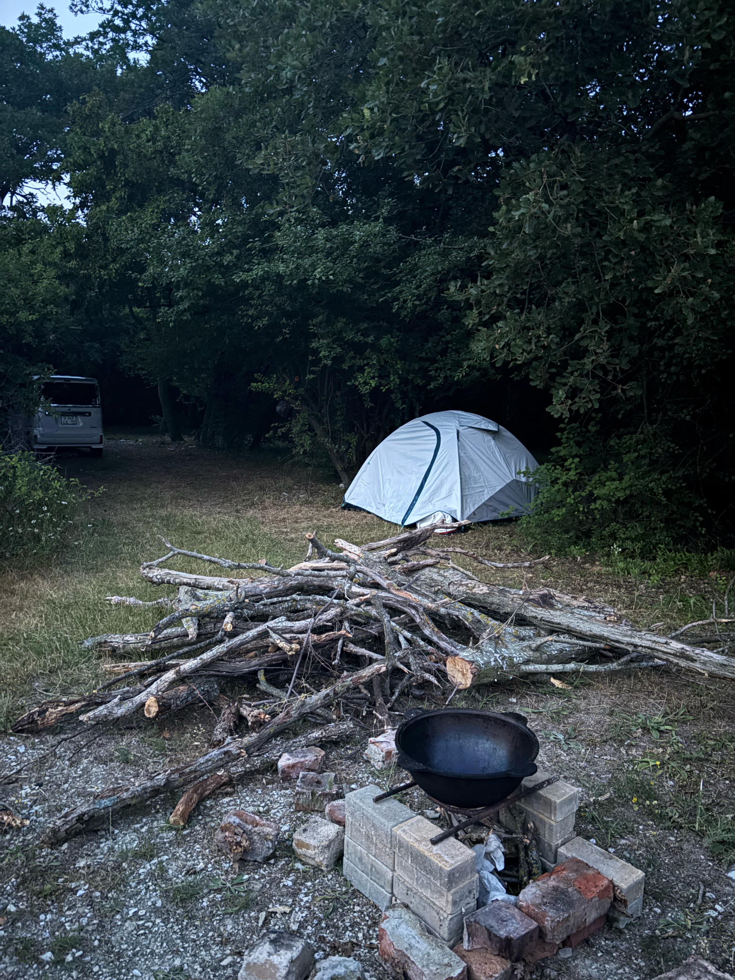 Фото Можжевеловая Роща