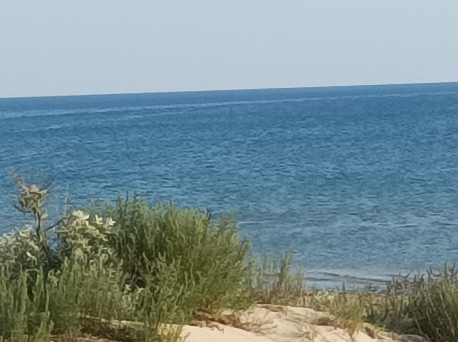 Фото Август на Пионерском