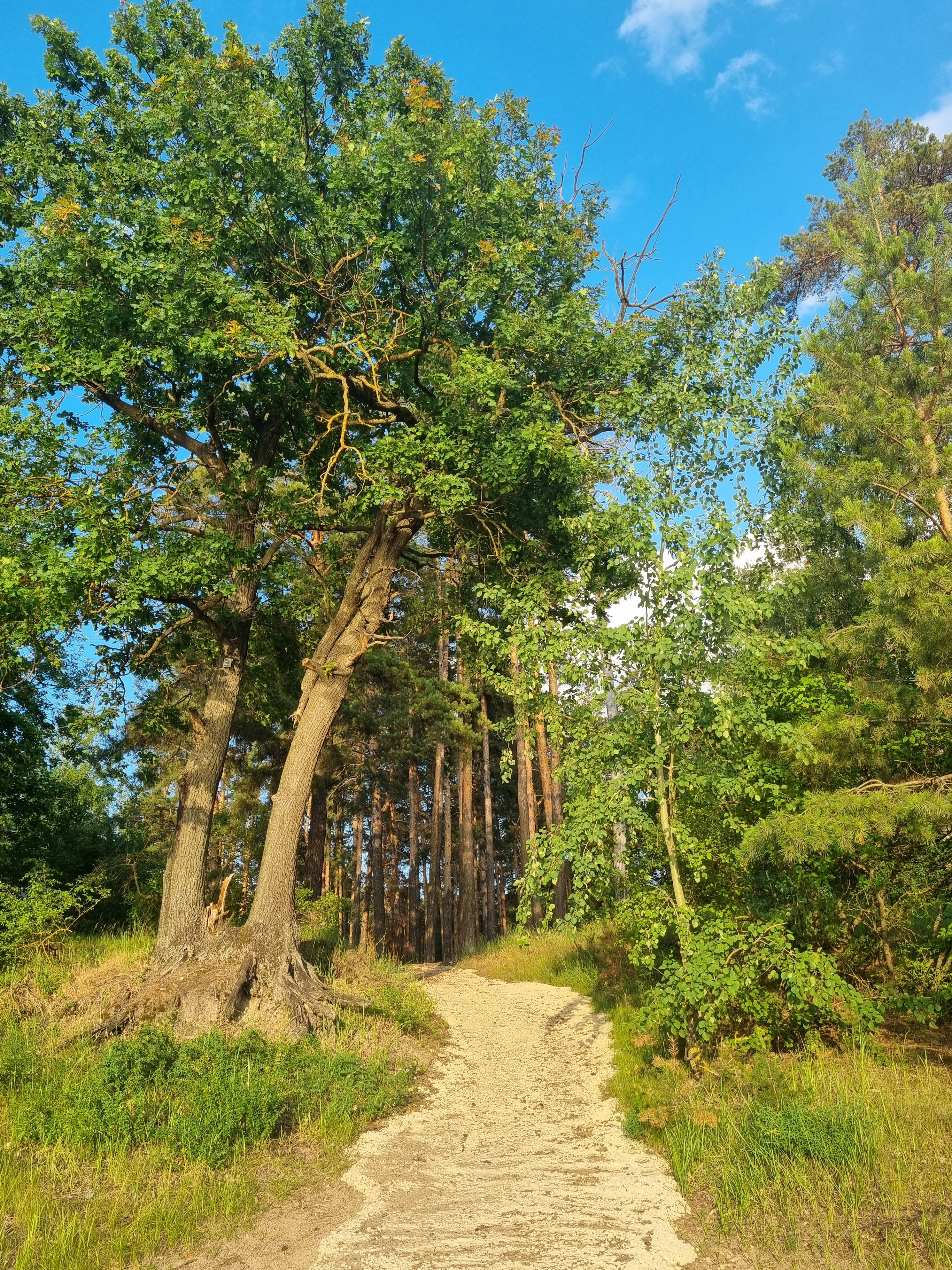 Фото Медвежий Угол