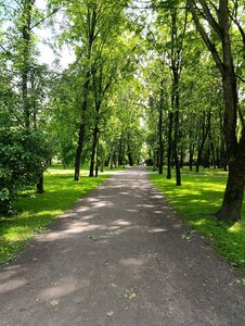 Парк имени Ленина (Ленинградская область, Выборг, Ленинградский проспект), парк культуры и отдыха в Выборге