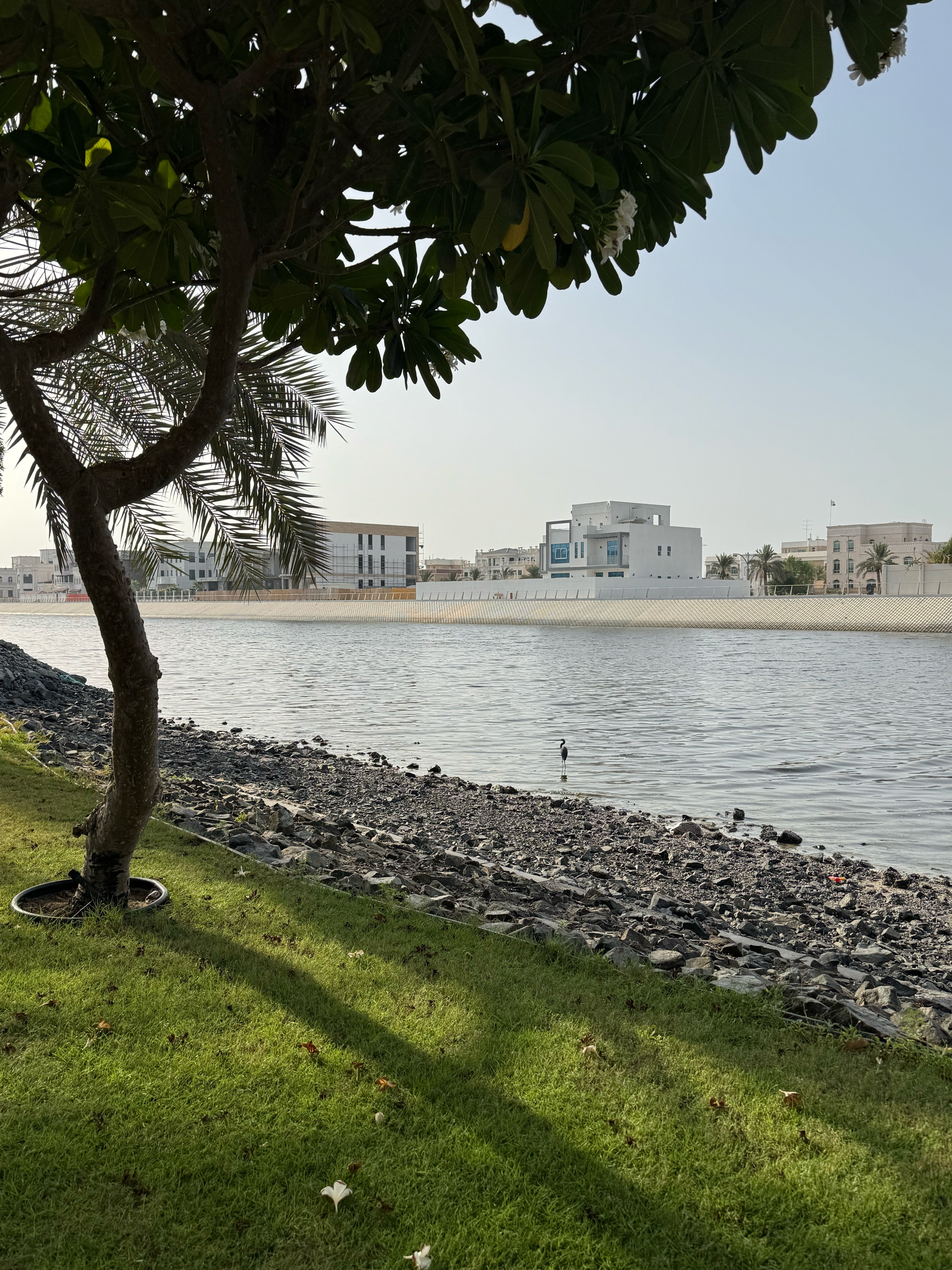 Фото Ibis Abu Dhabi Gate