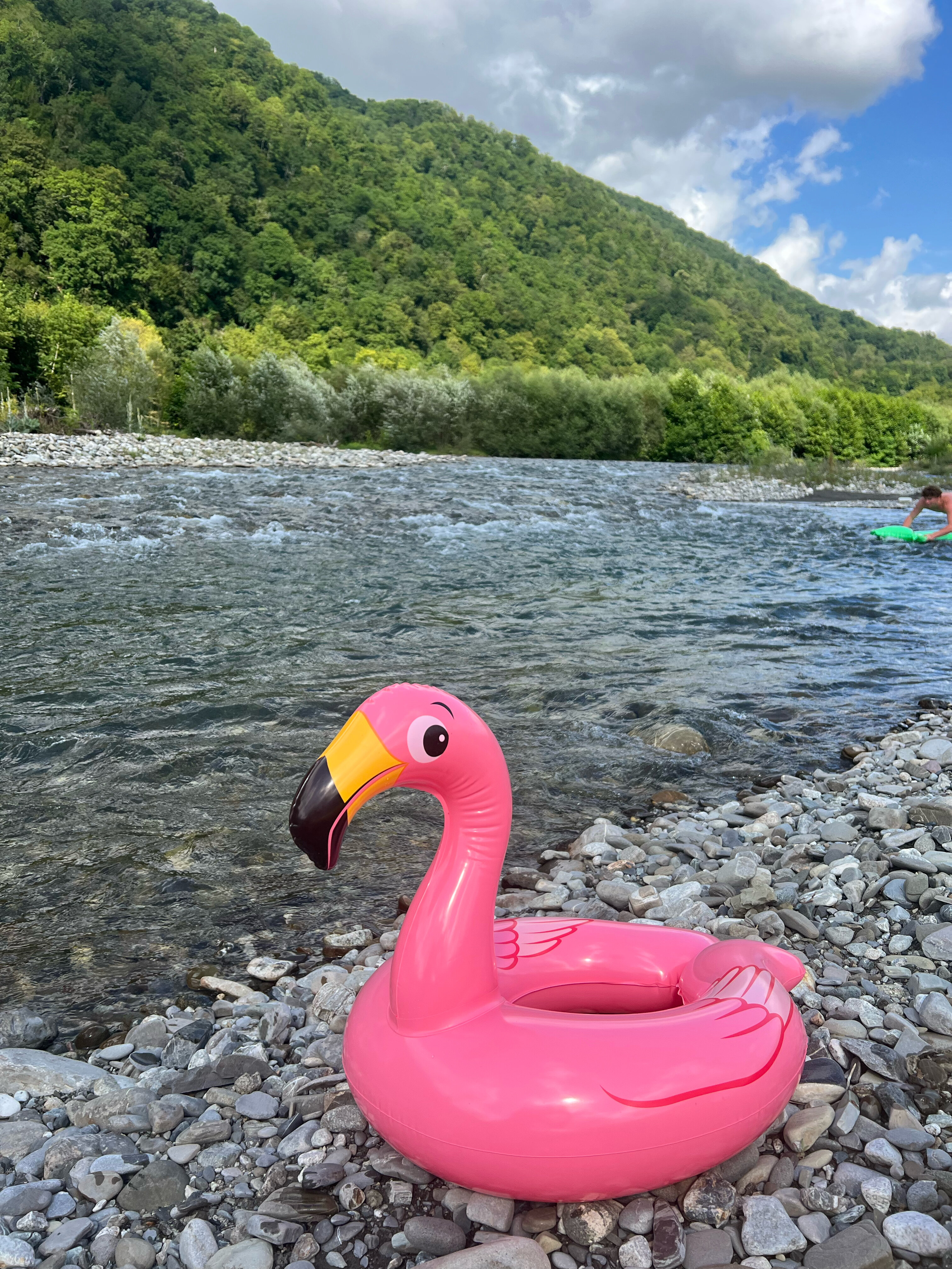 Фото Южный Вайб Древо
