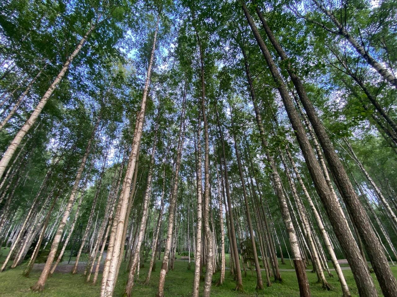 Фото Эковилладж