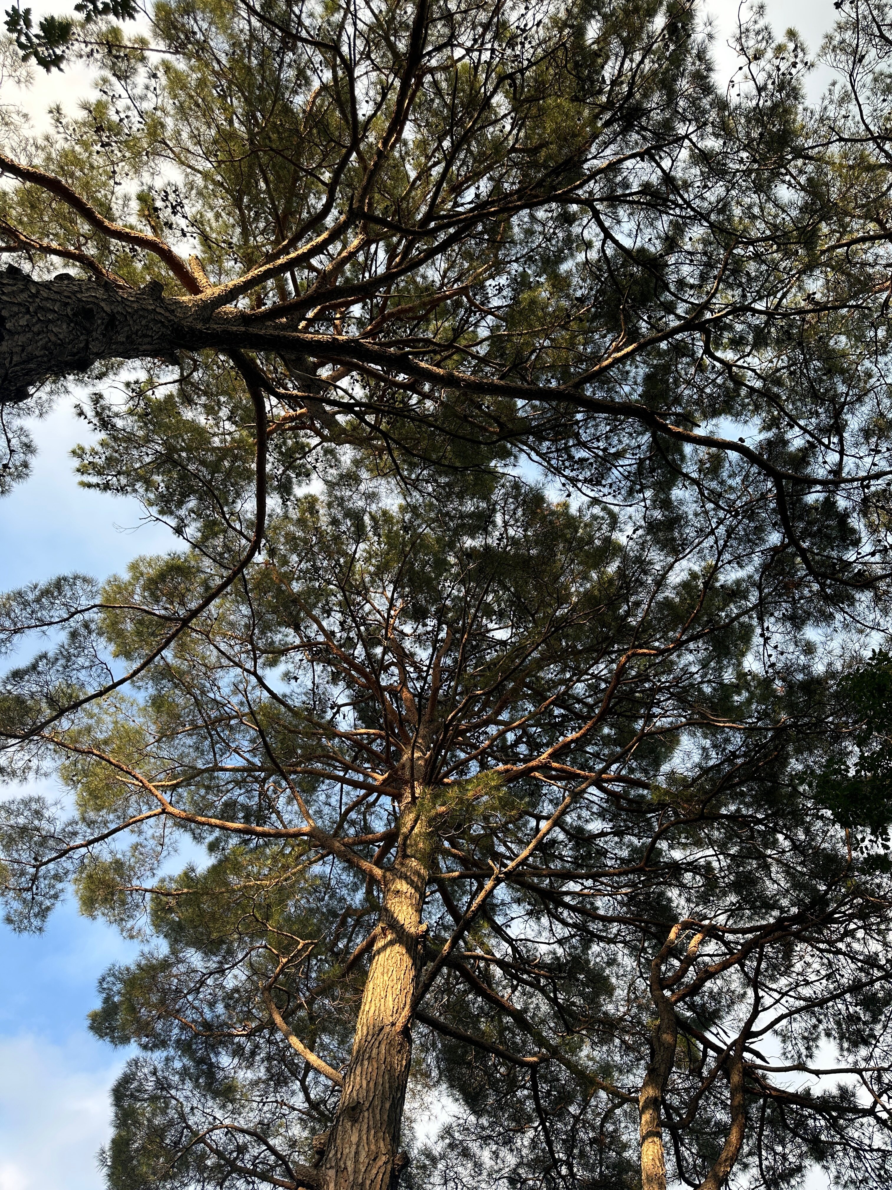 Фото Белая Русь