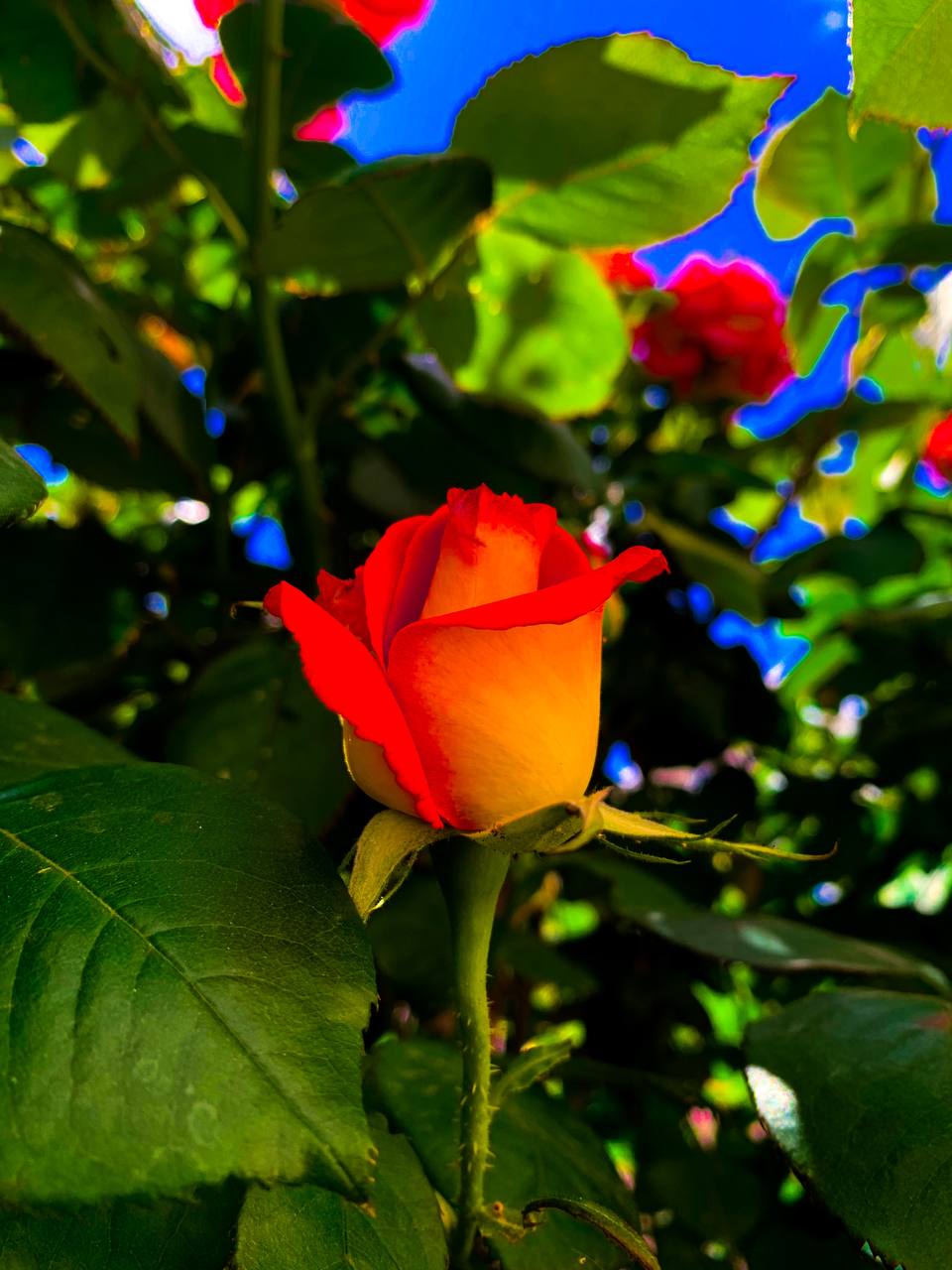 Фото ЭкоТун