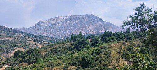 Гостиница Зона отдыха Дустлик