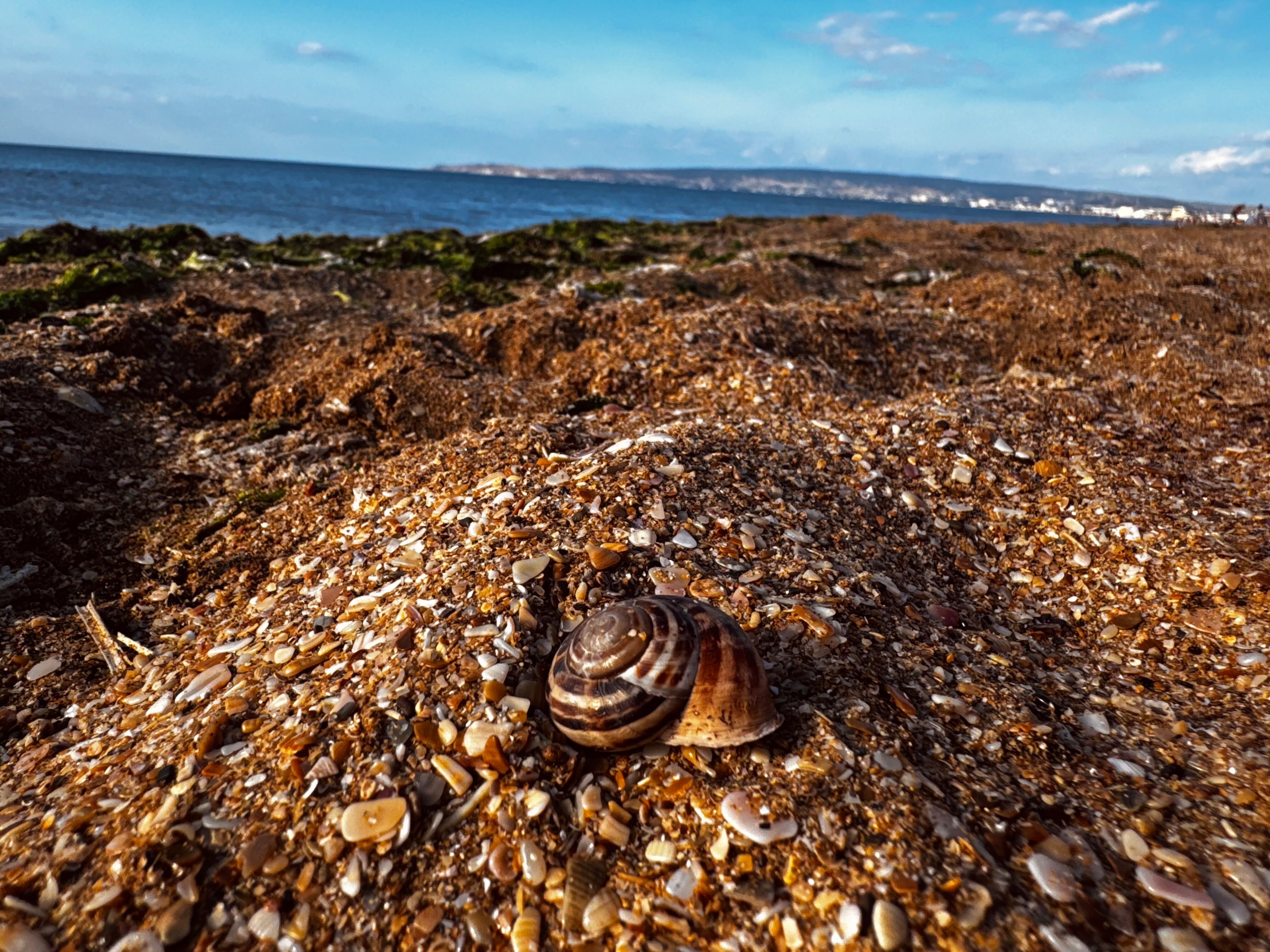 Фото Май Мария резиденц