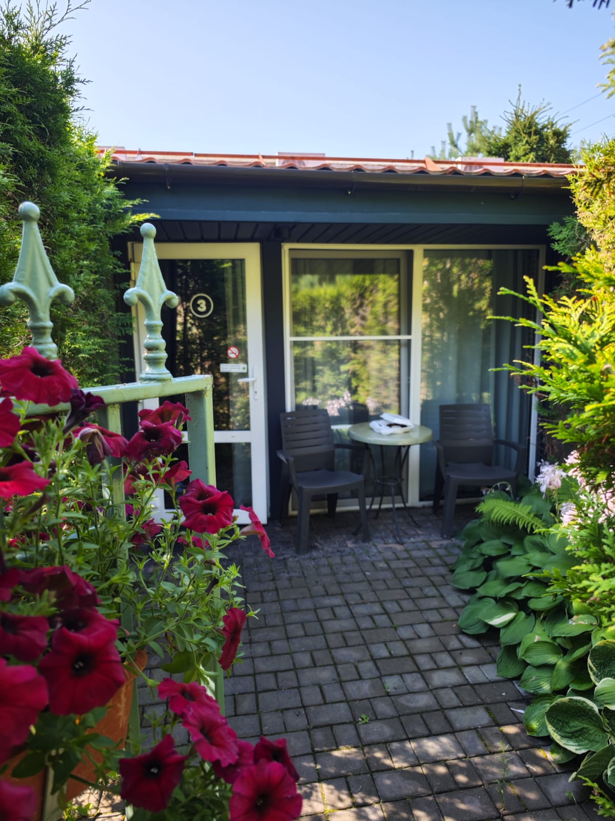 Фото Сытый Ежик