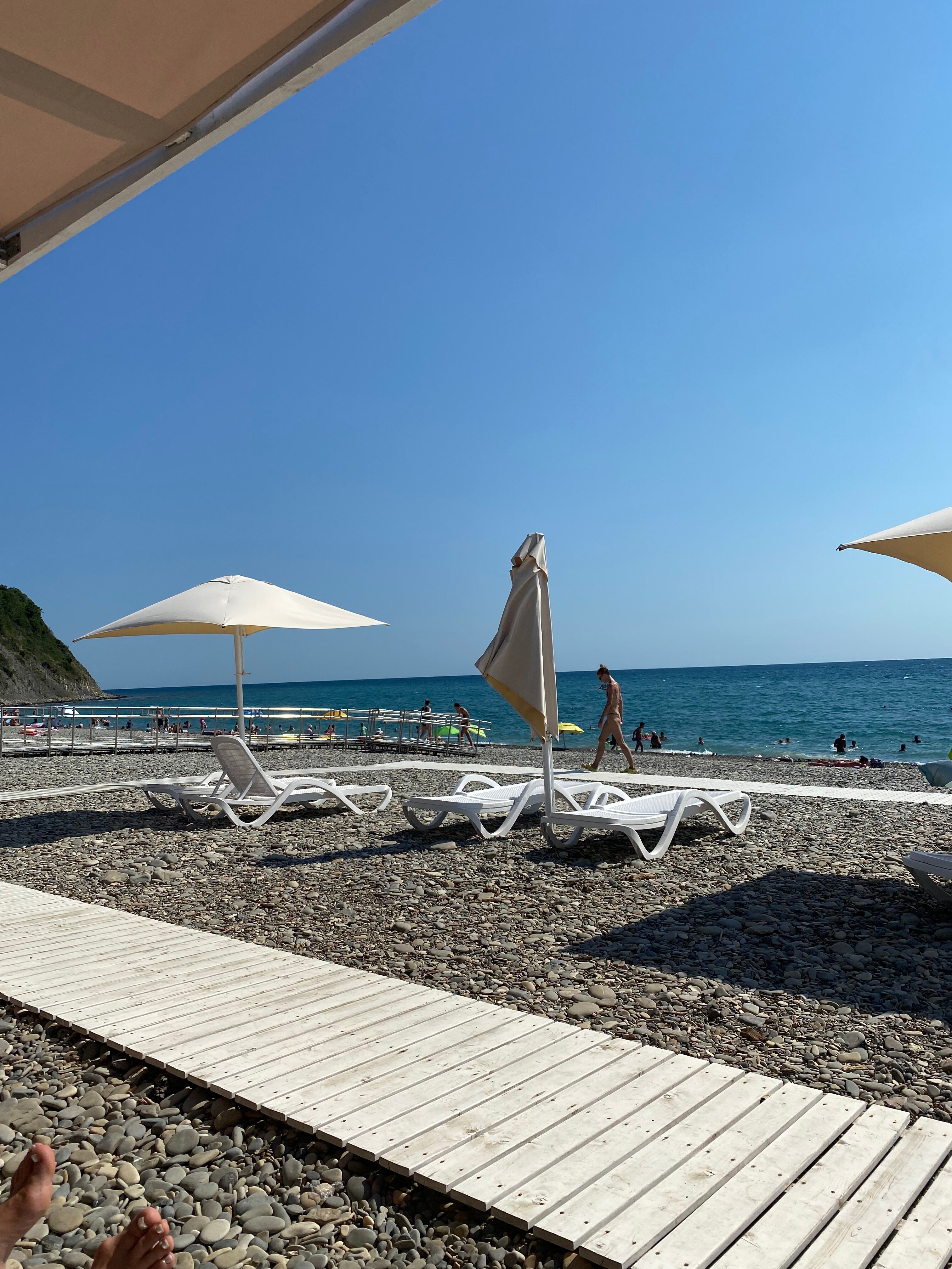 Фото Берег леса