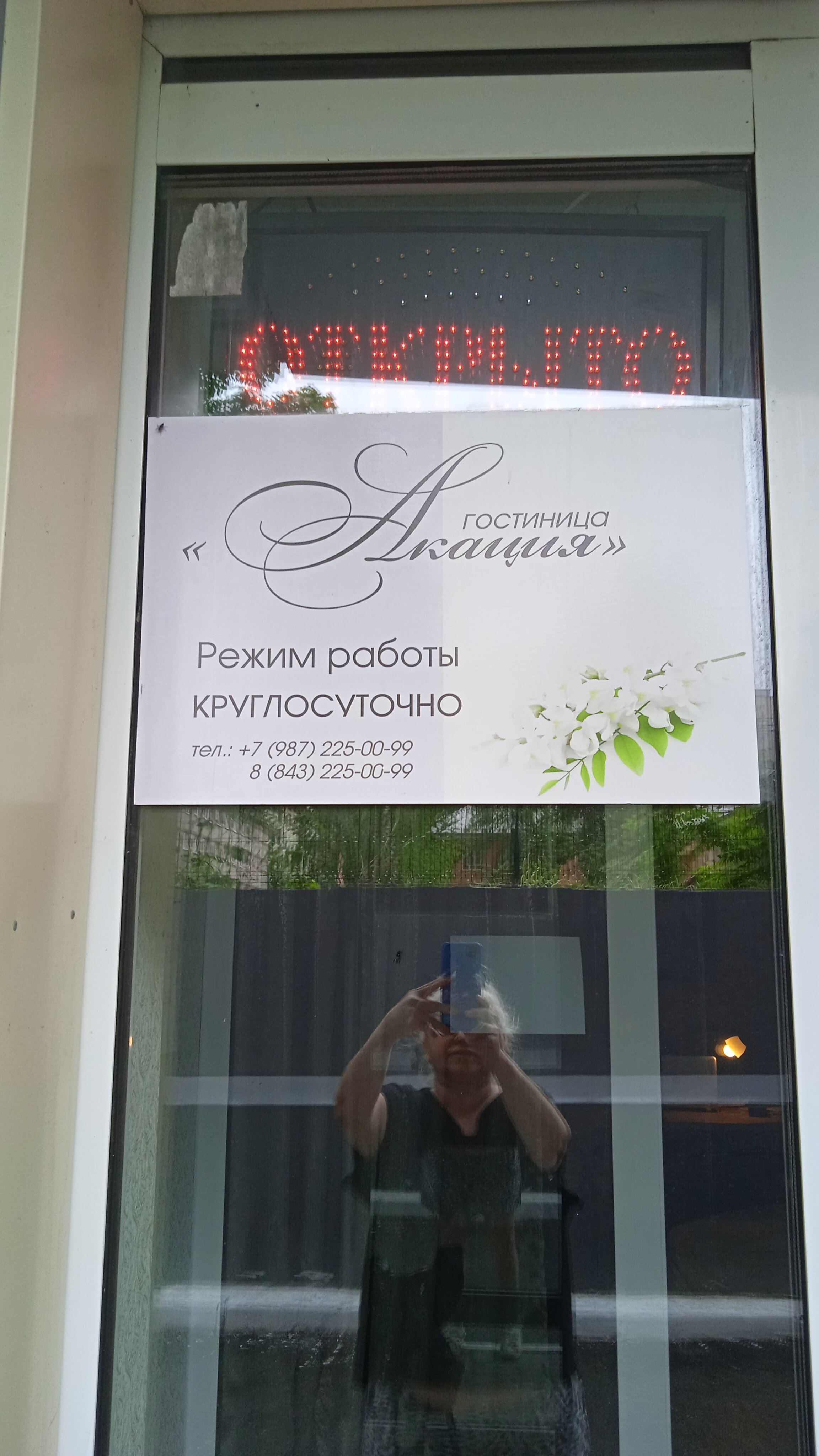 Фото Акация