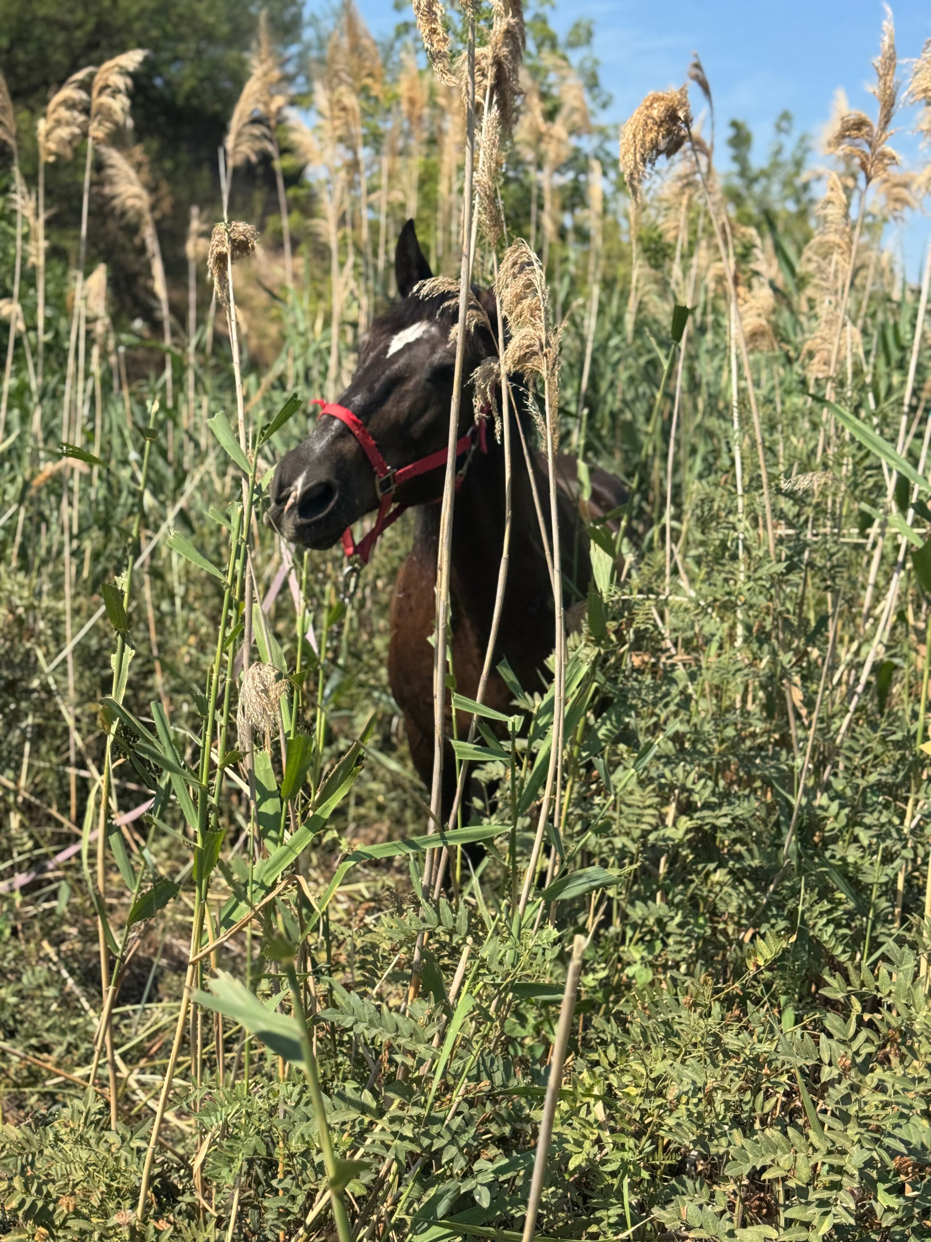 Фото Экохутор Тишина