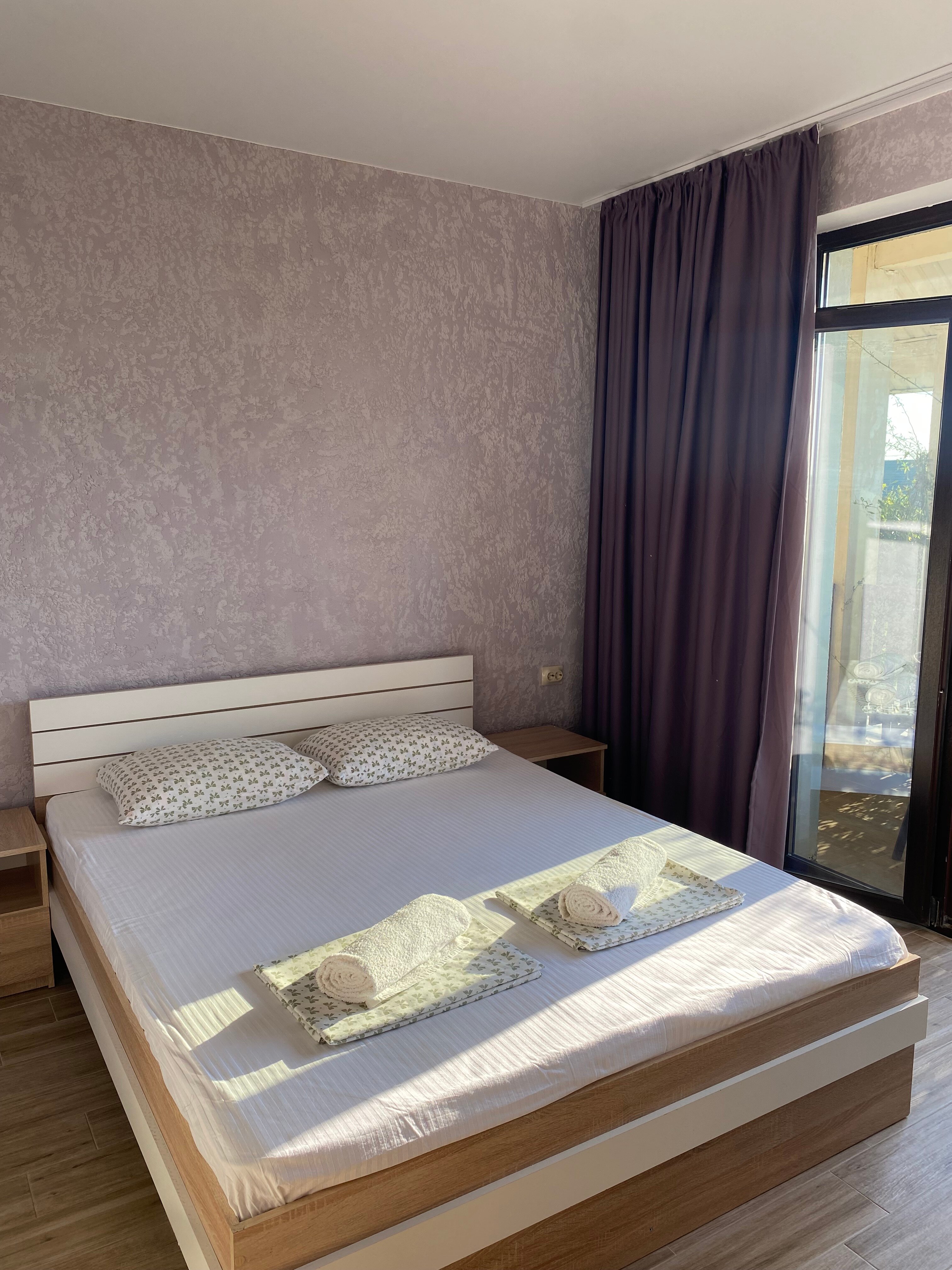 Фото Сантолина