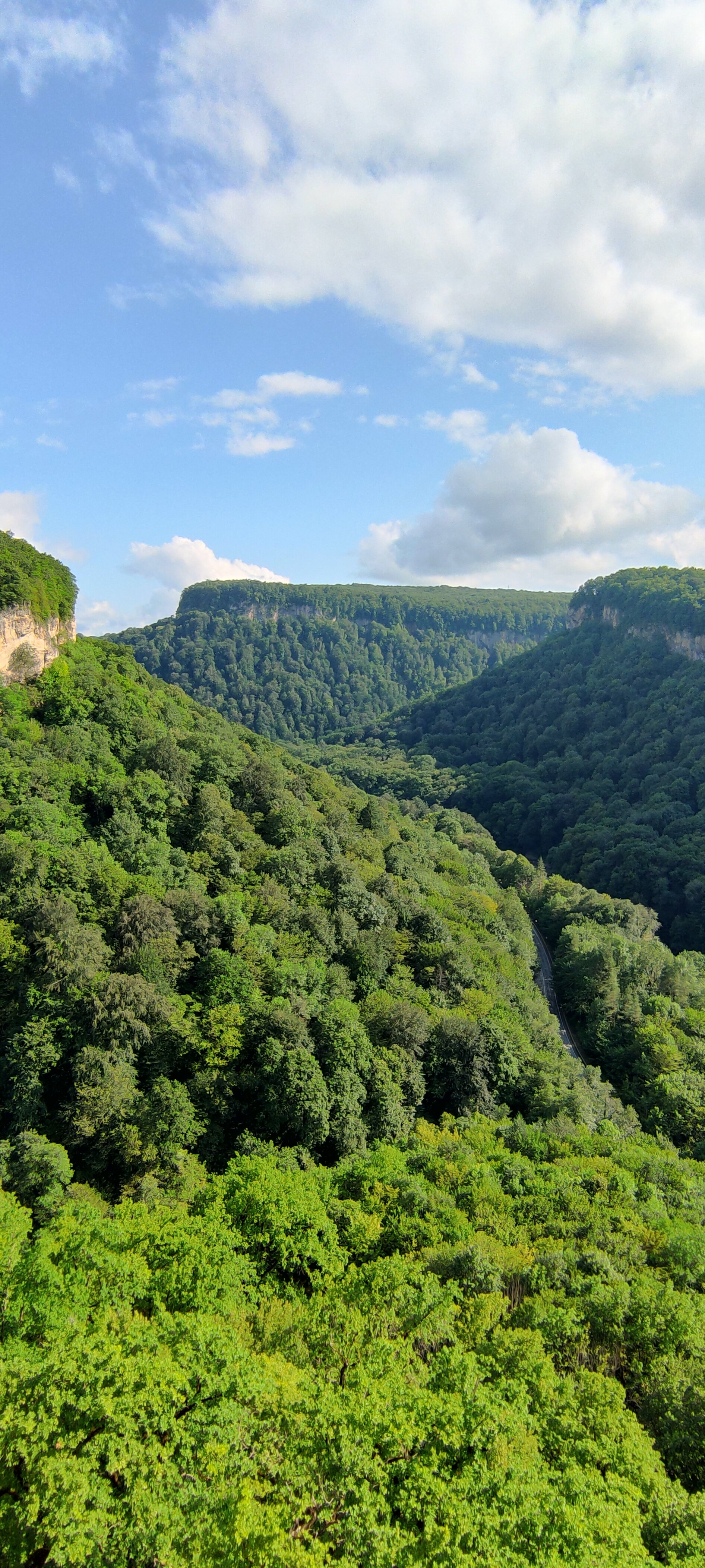 Фото Палитра