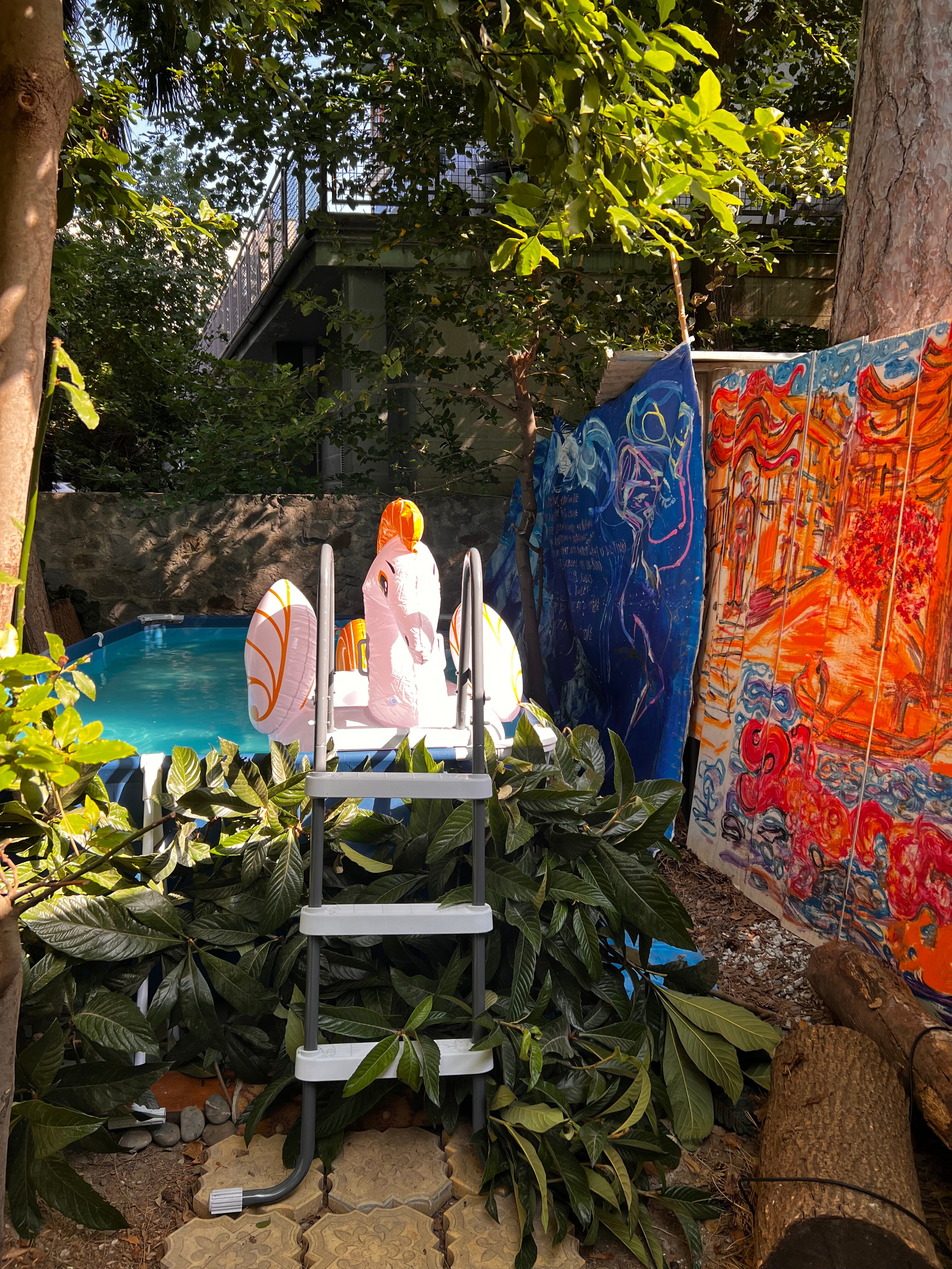 Фото Сосна и Пальмы