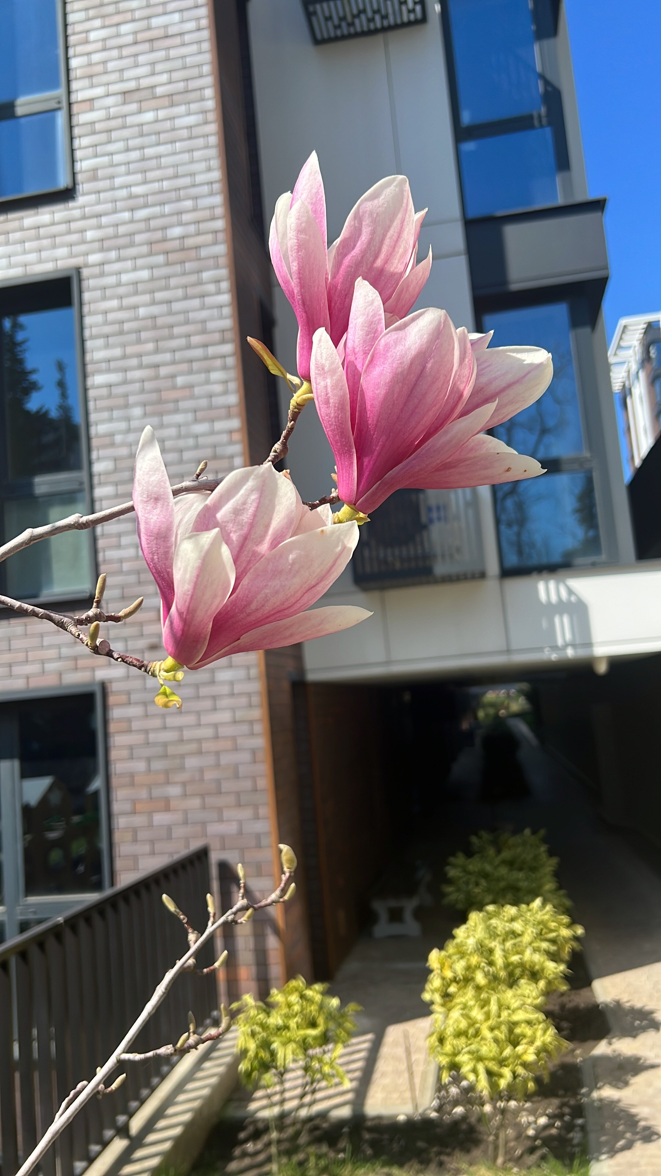 Фото Моравия