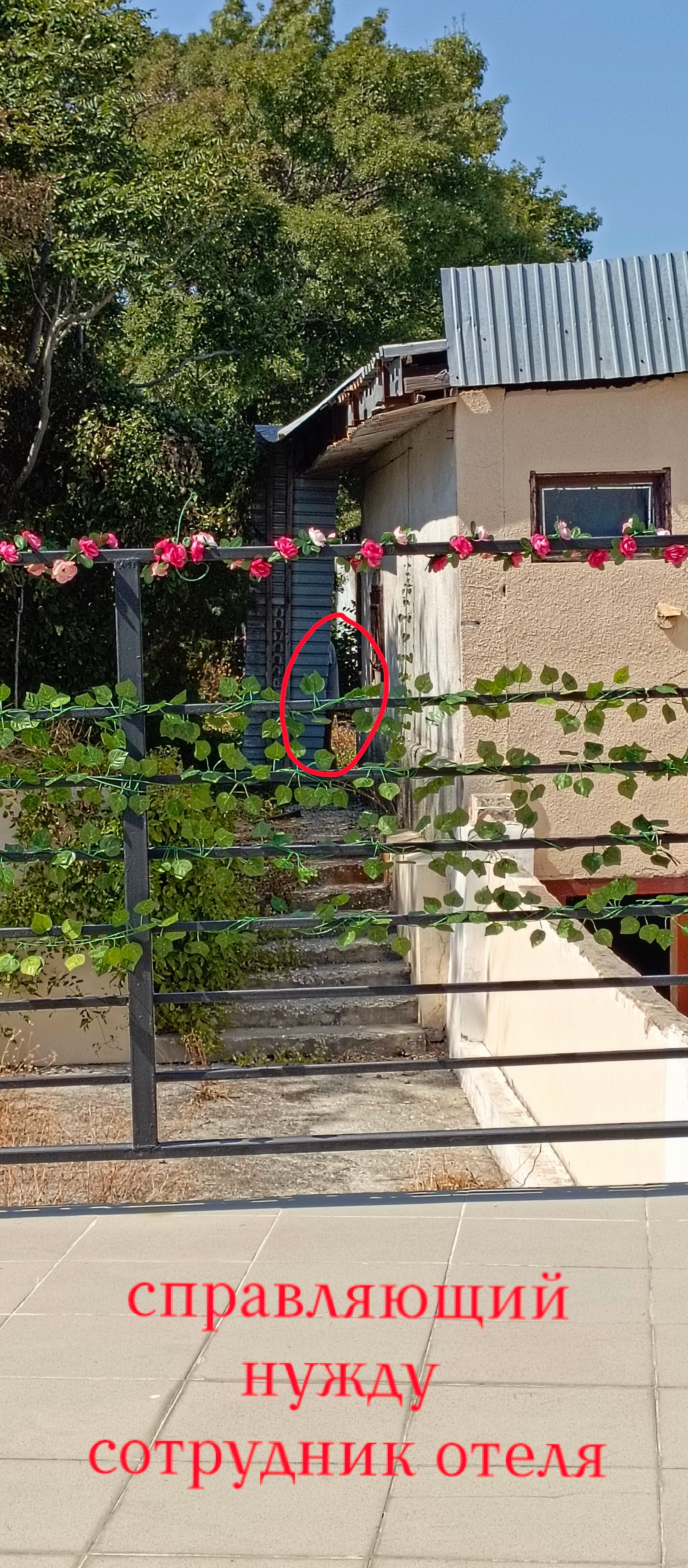 Фото Людмила