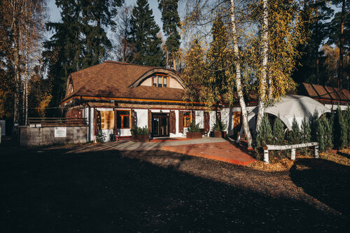 Гостиница Гуси-Лебеди в Ногинске