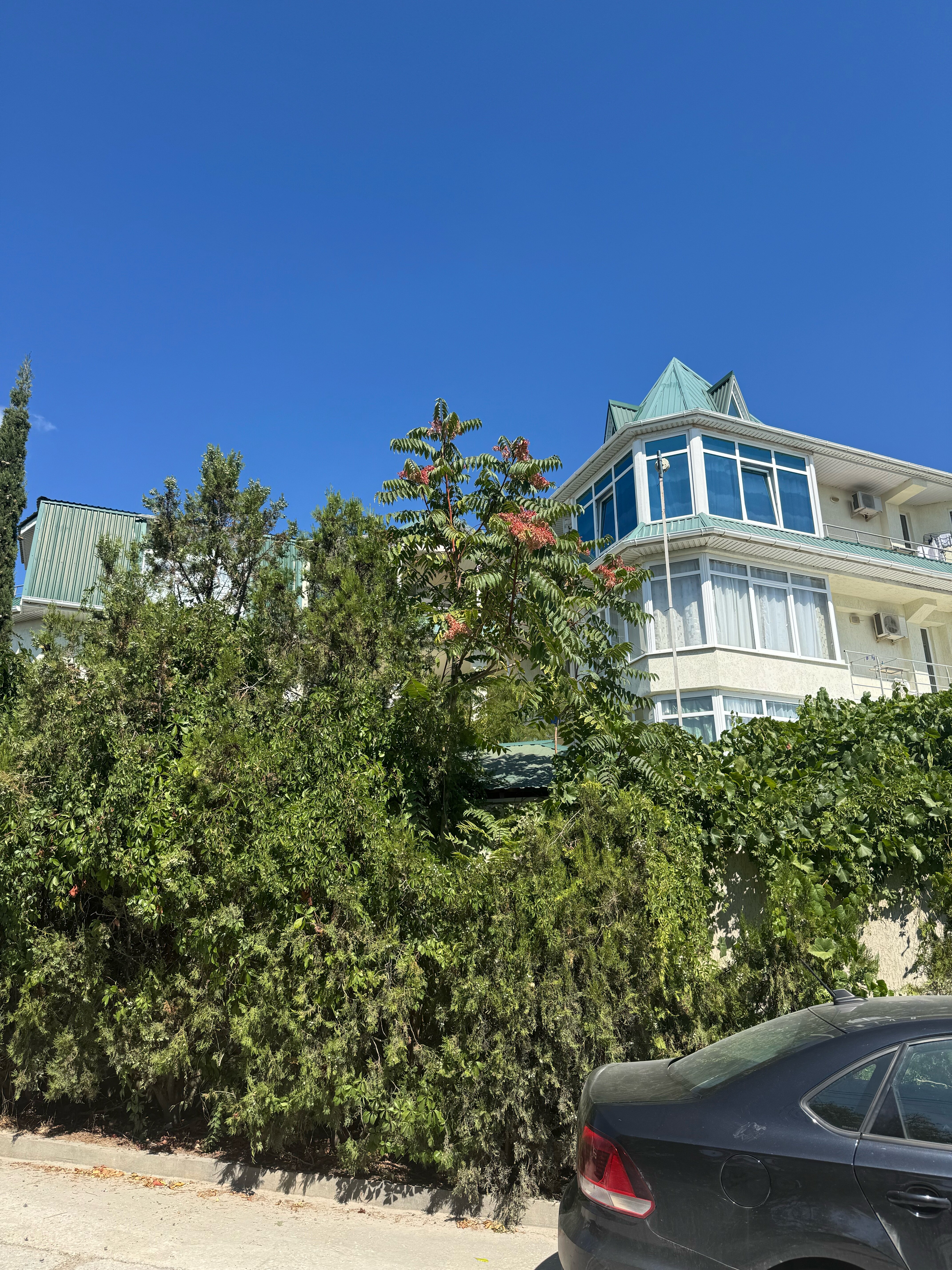 Фото Московский