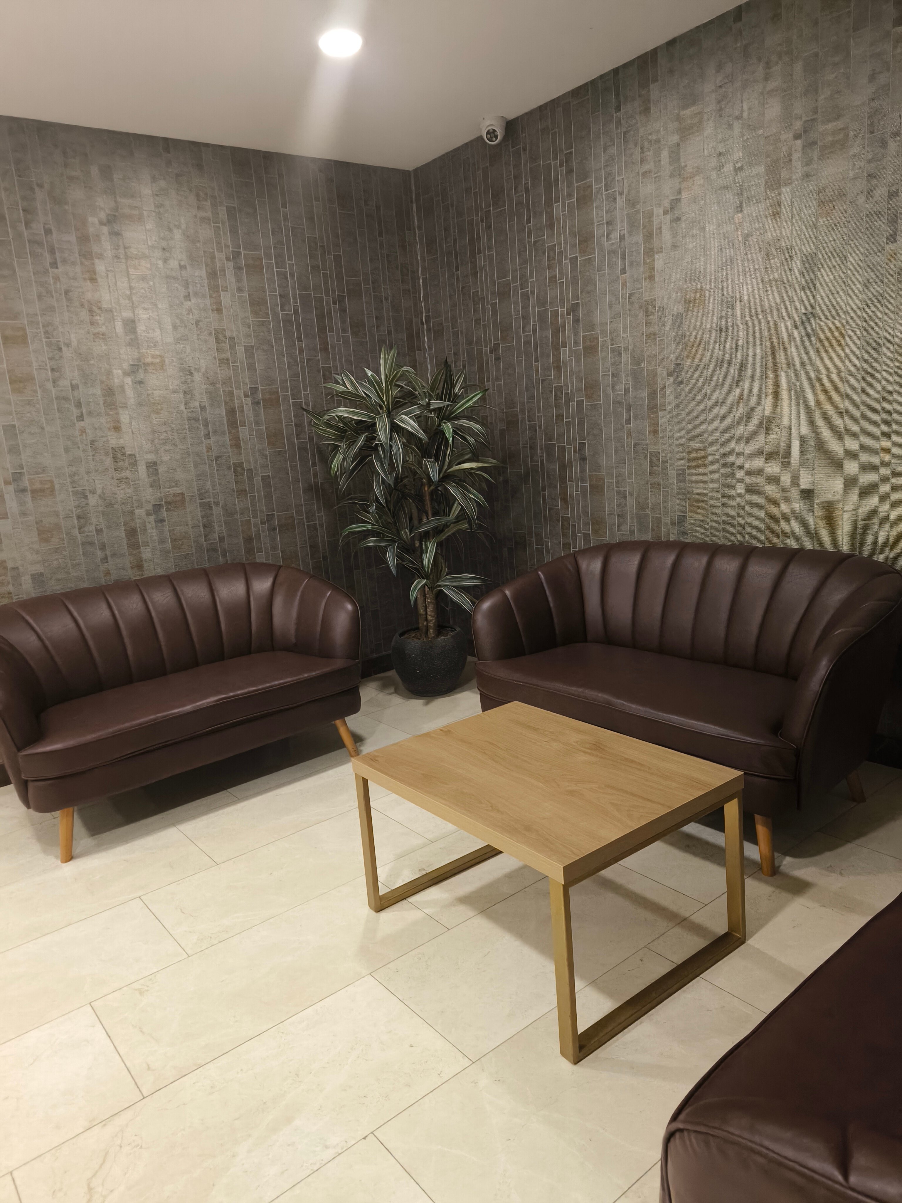 Фото Hotel Salvador