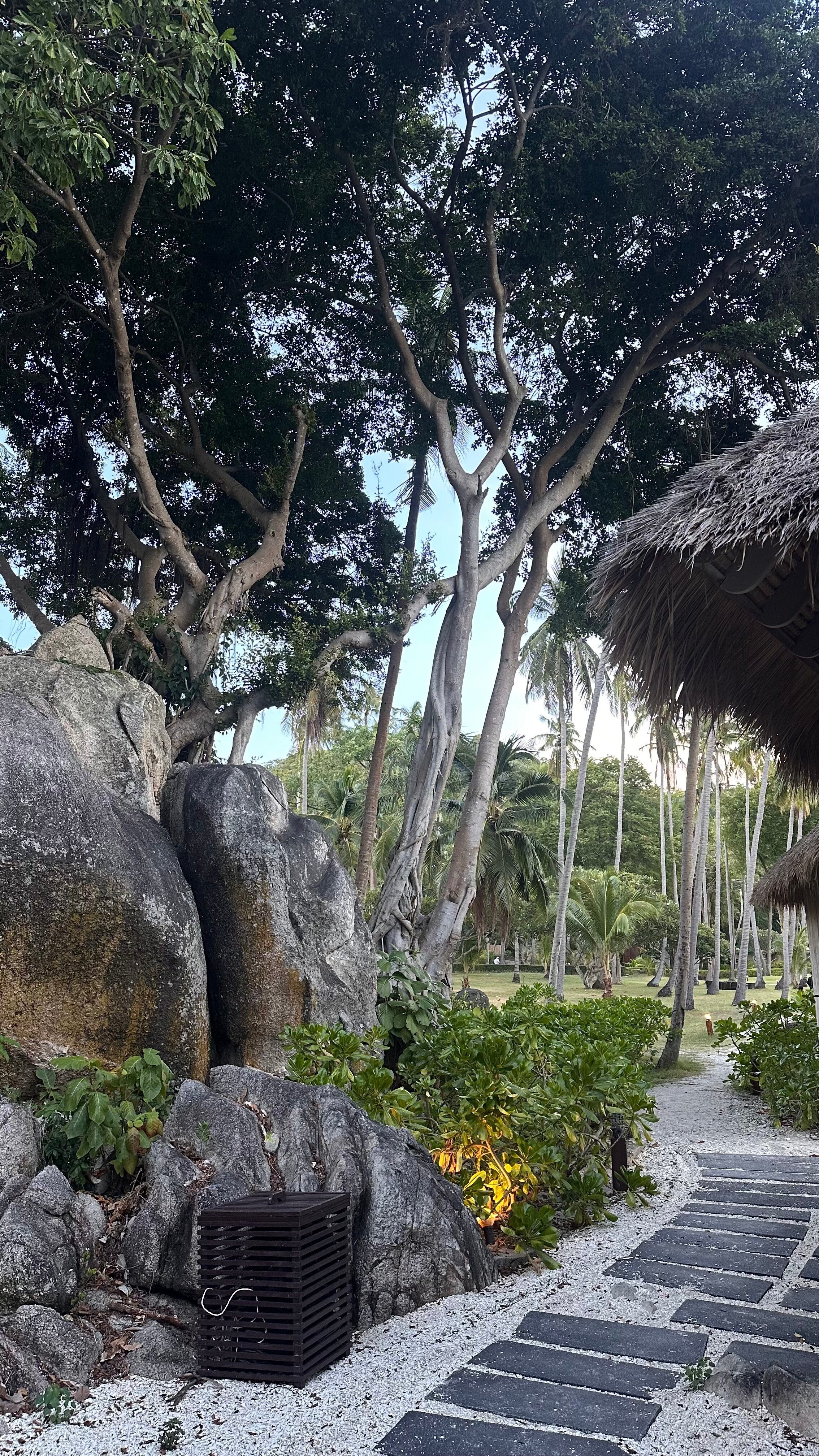 Фото Haadtien Beach Resort