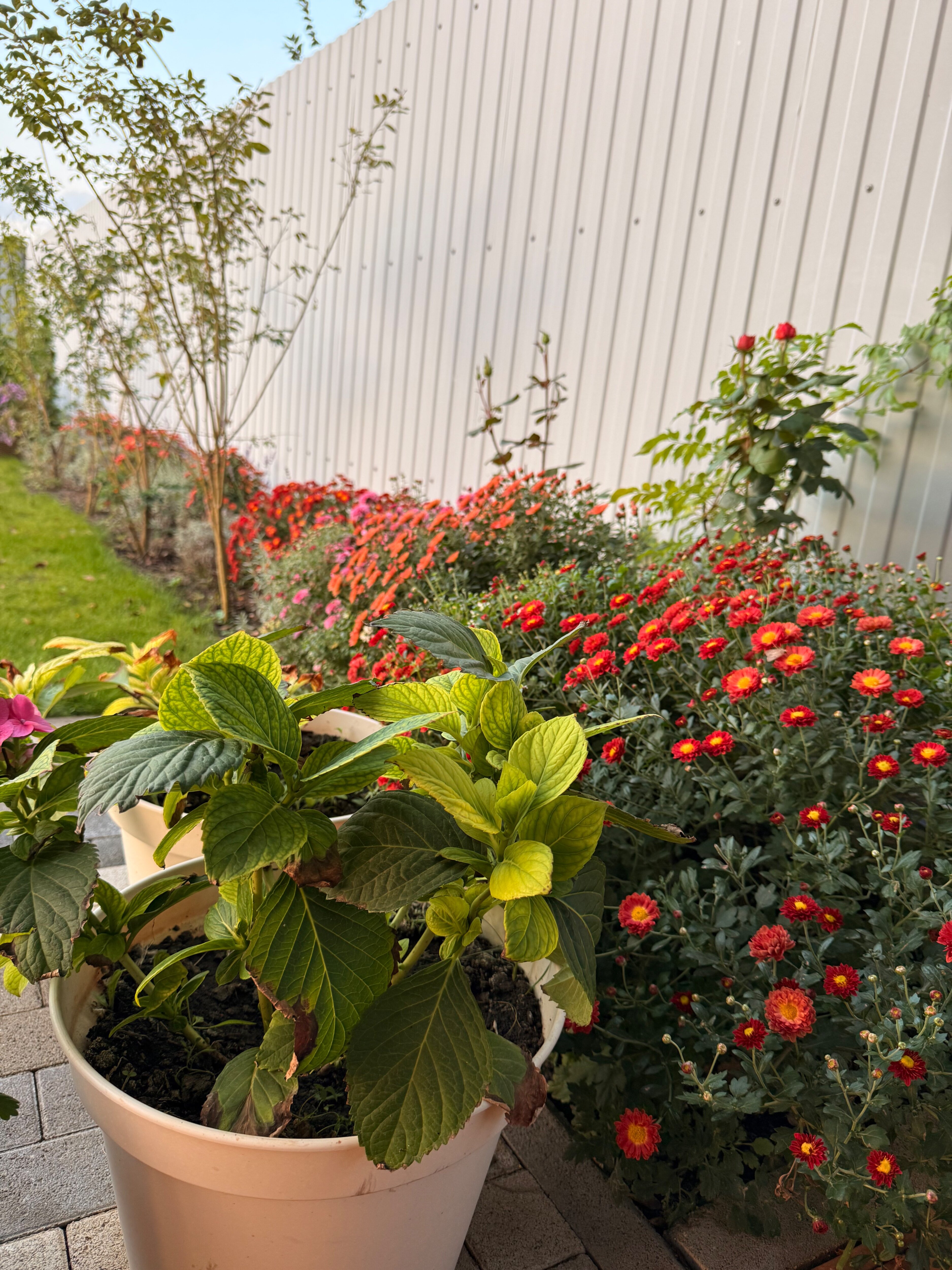 Фото Дом Прованс