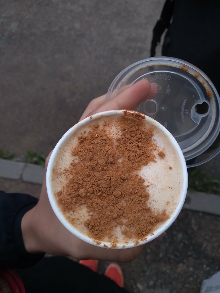 Coffee to go Meow coffee, Smolensk, photo