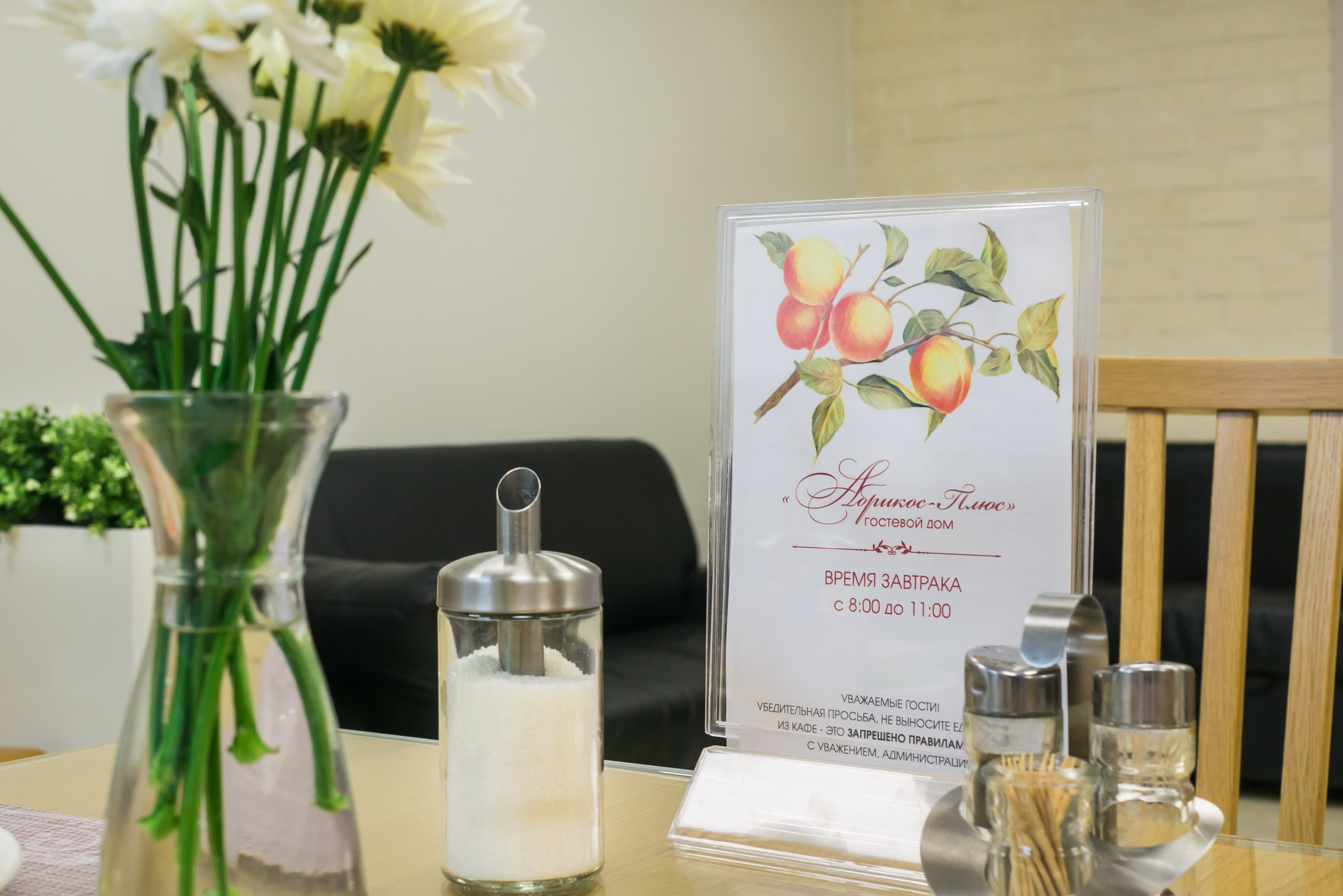 Фото Абрикос Плюс