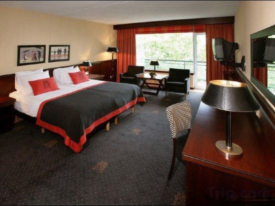 Фото Hotel Vianen - Utrecht