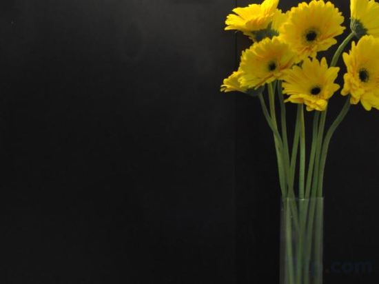 Фото Dreamtel Kota Kinabalu