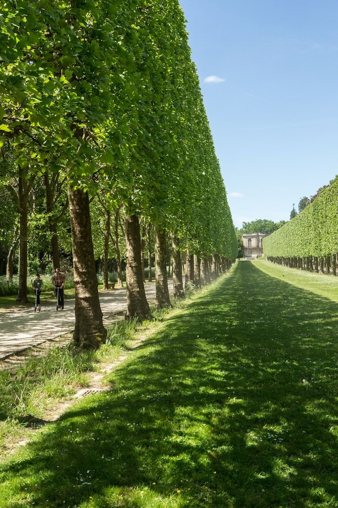 Фото Ibis Styles Sceaux Paris Sud