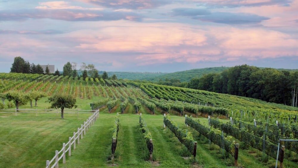 Фото Manor House Inn