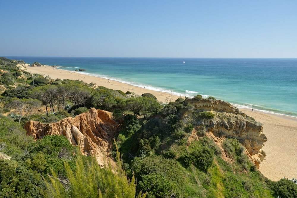 Фото Hotel Alisios