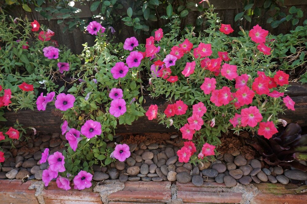 Фото Chompu Nakarin Apartment