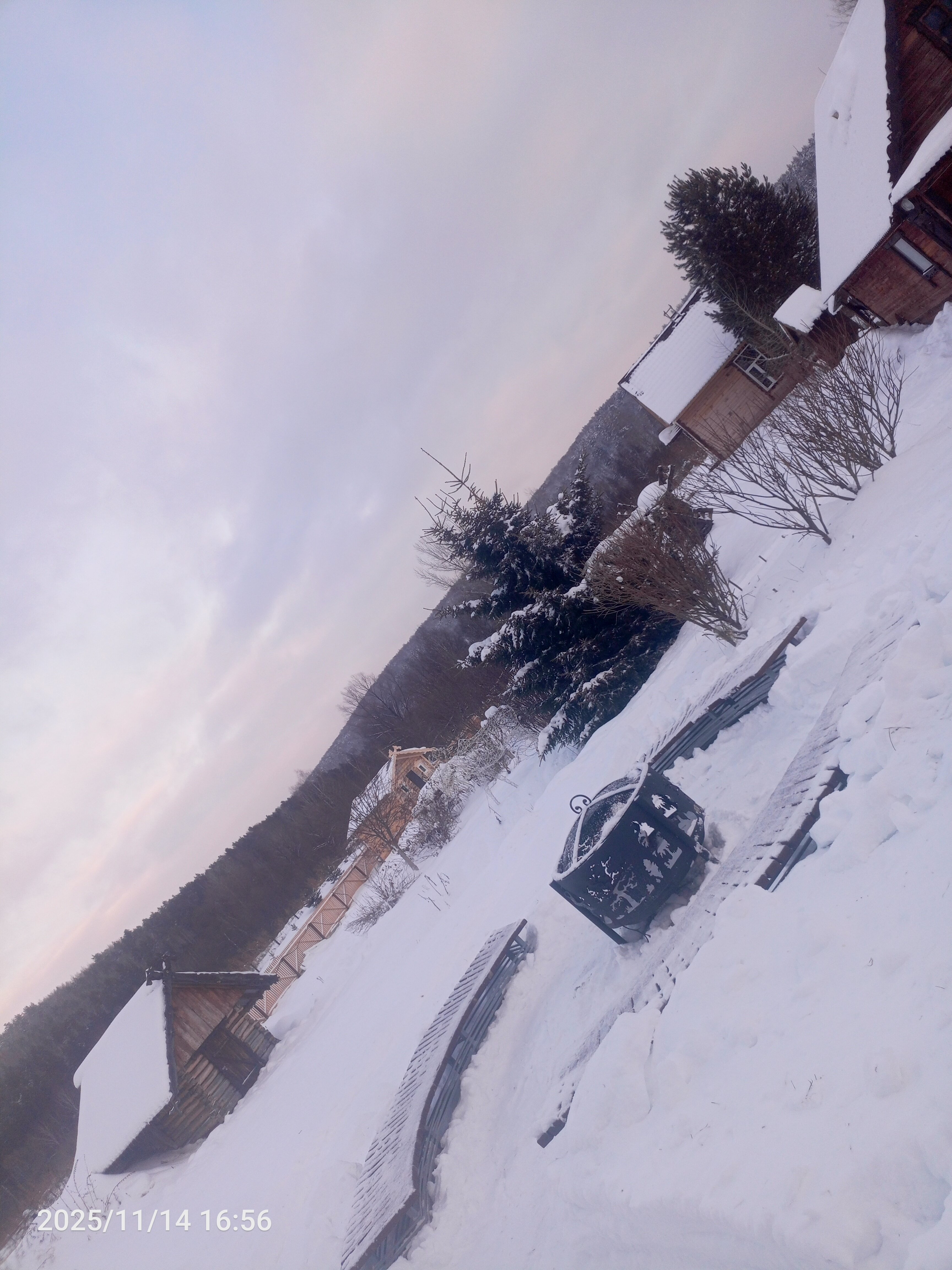 Фото Новые соседи