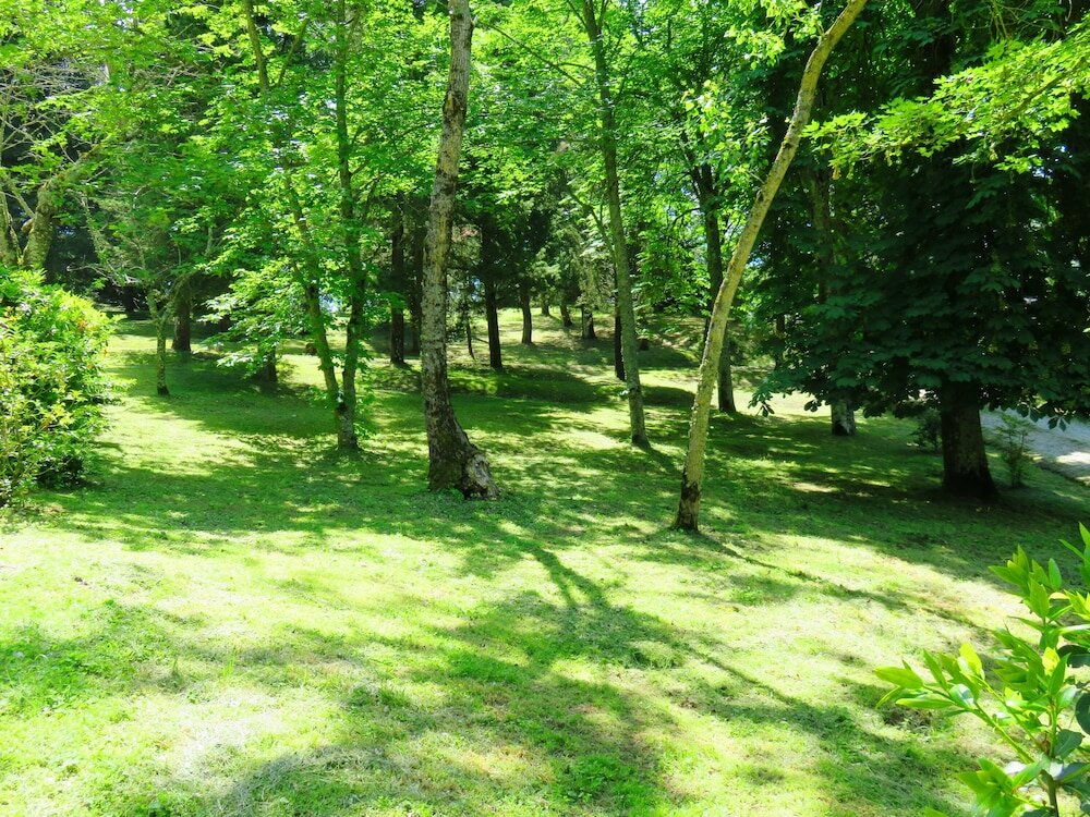 Фото Castello Cortevecchio