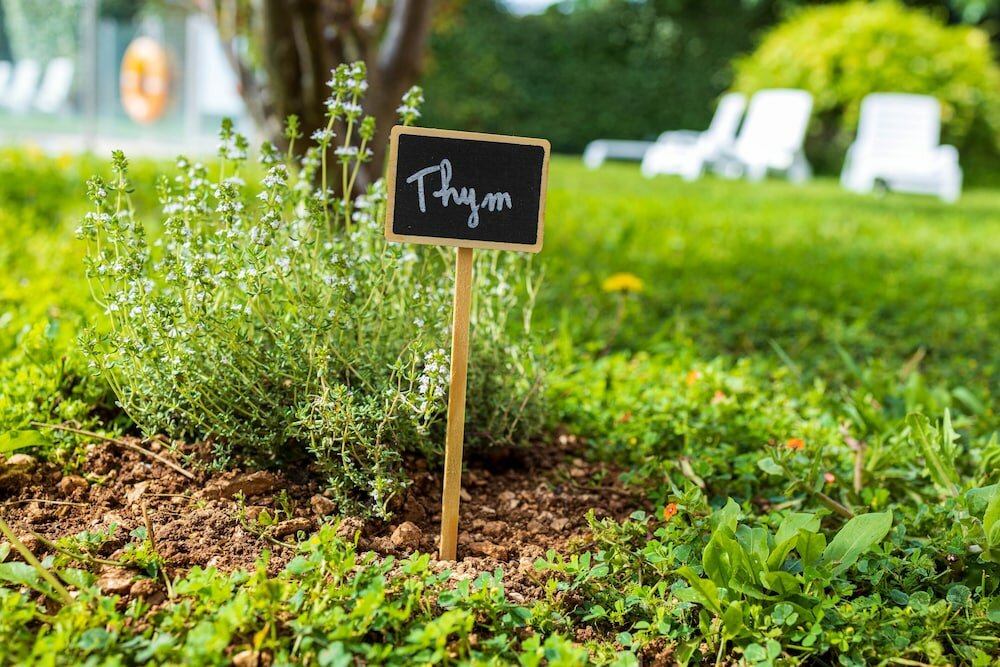 Фото Noemys Toulon La Valette