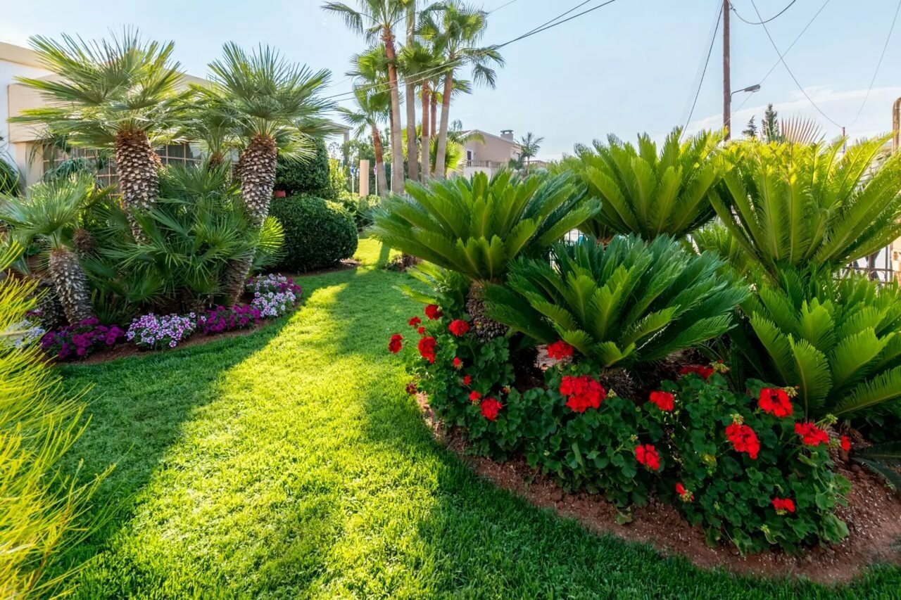 Фото Dedalos Hotel