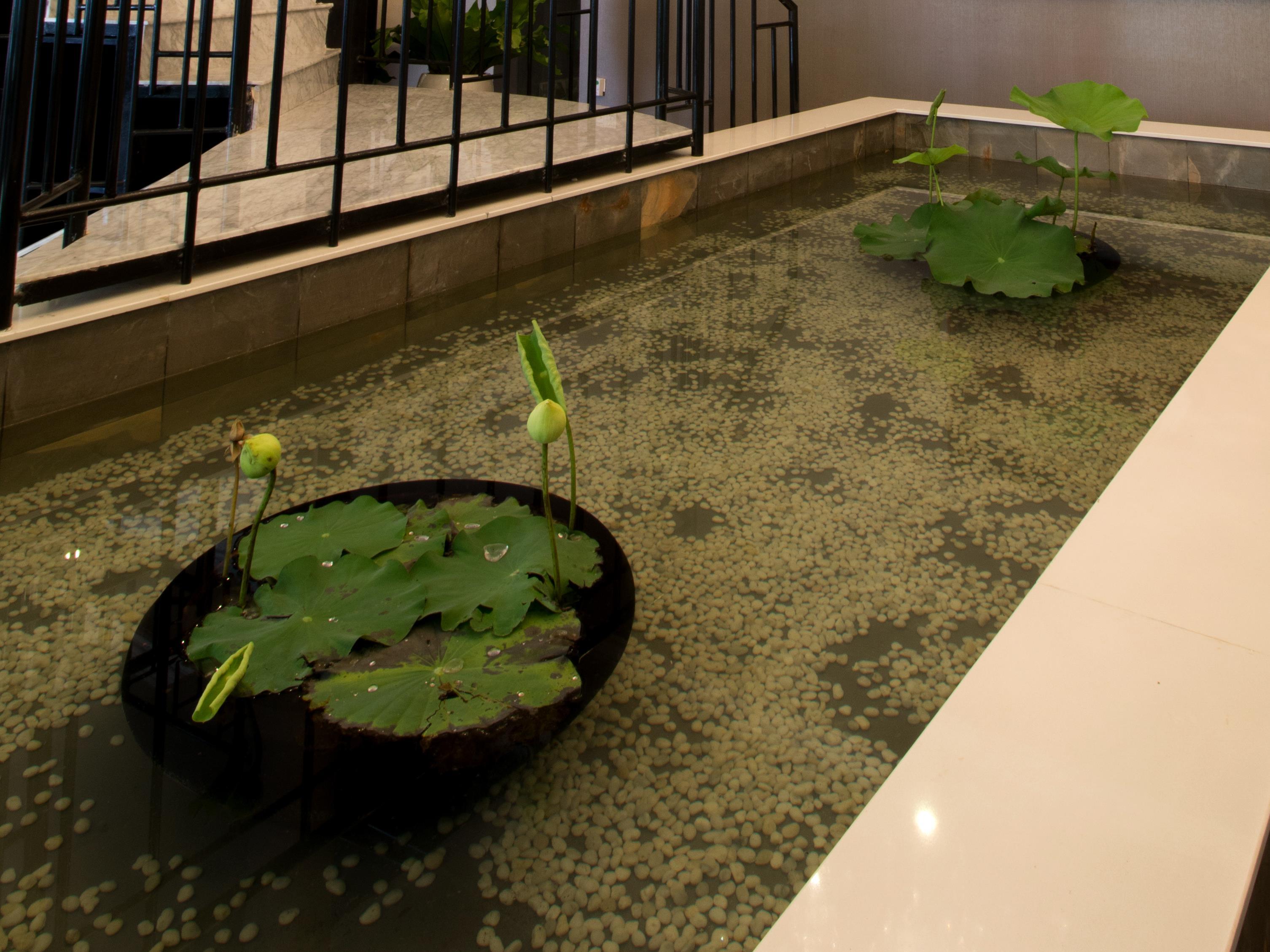 Фото De Art Hotel