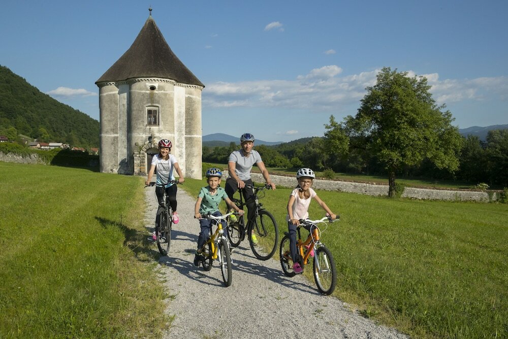 Фото Hotel Balnea Superior - Terme Krka