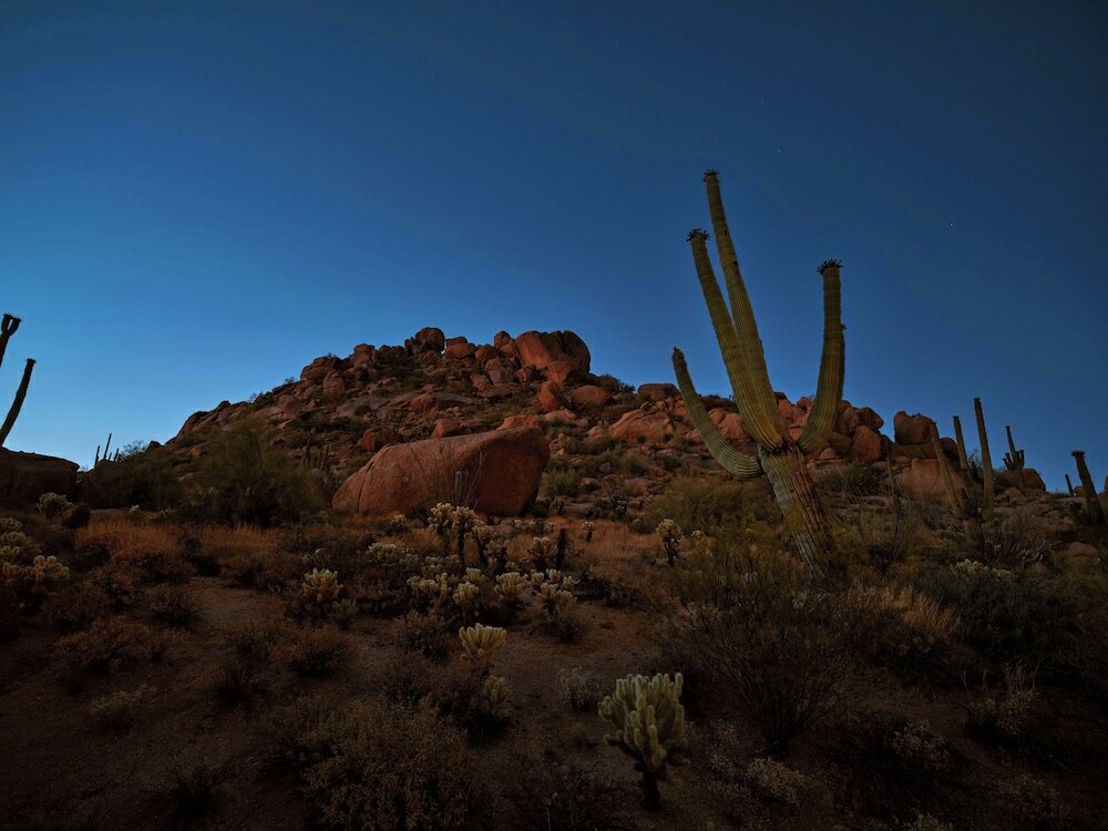 Фото Four Seasons Resorts Scottsdale at Troon North