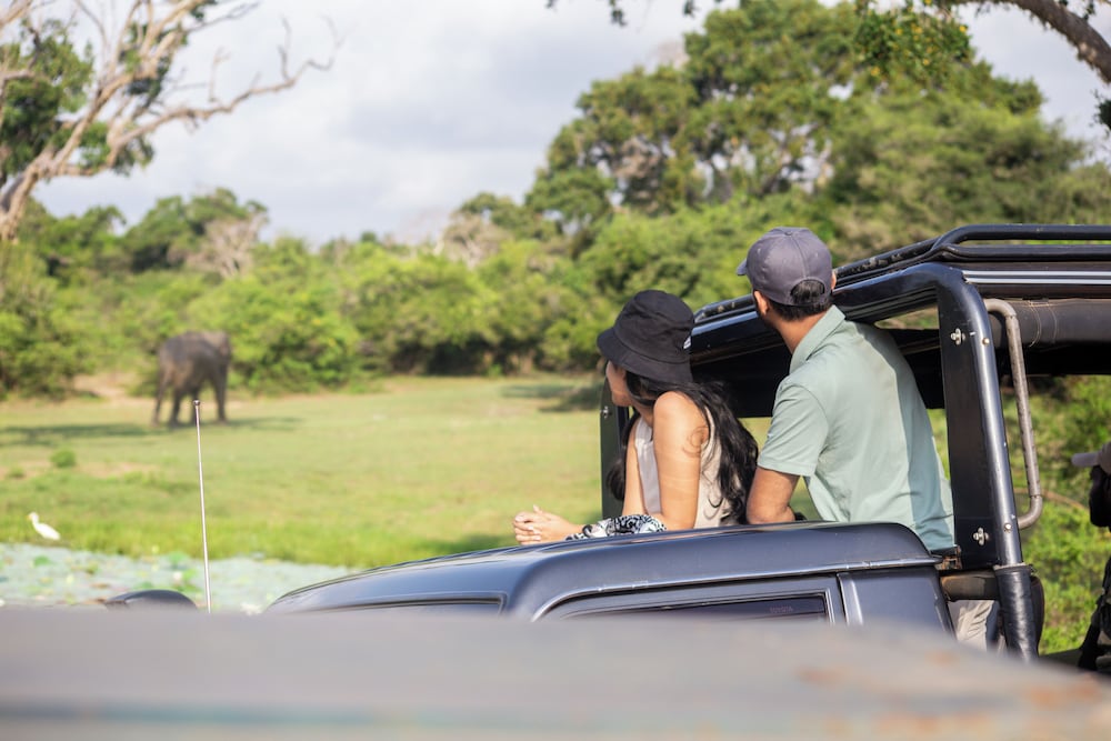 Фото Jetwing Yala