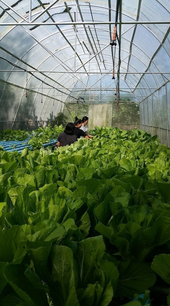 Фото Banpu Resort Trat