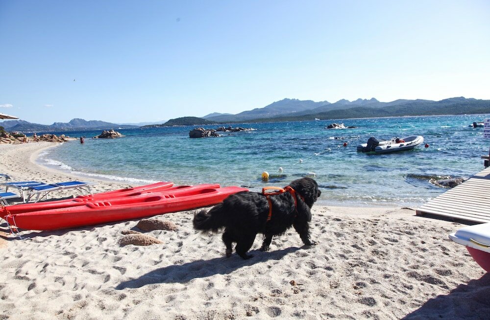 Фото Residenza Capriccioli