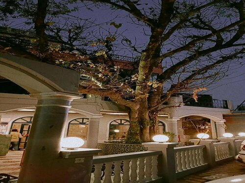 Внешний вид отеля Maya Hotel & Restaurant в Агре, фото 2