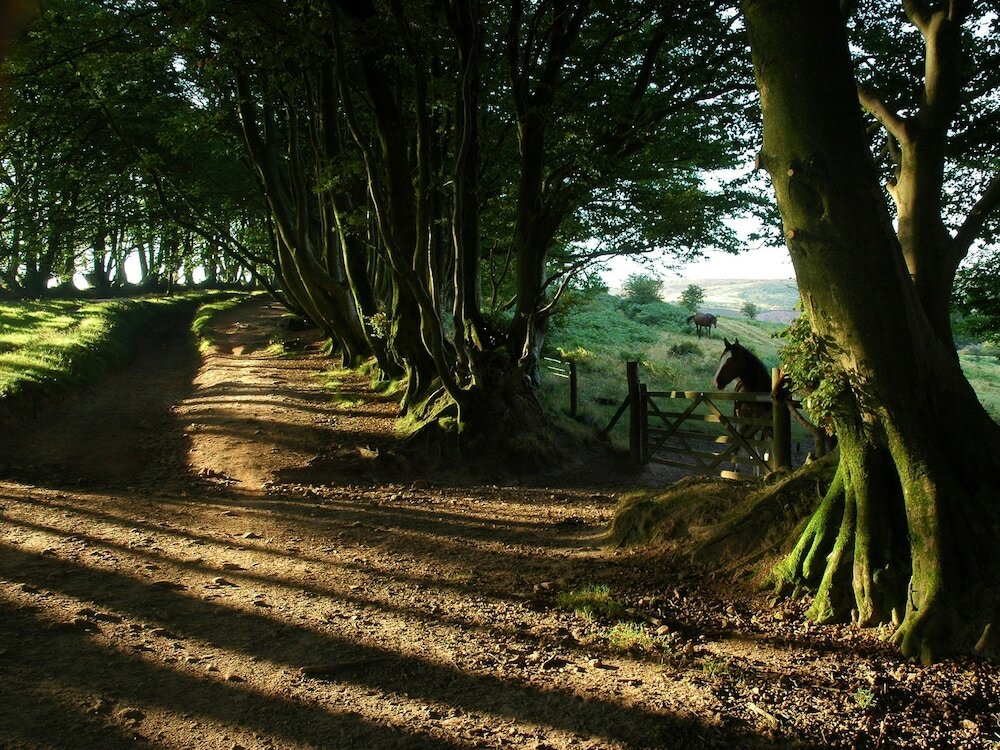 Фото The Hood Arms