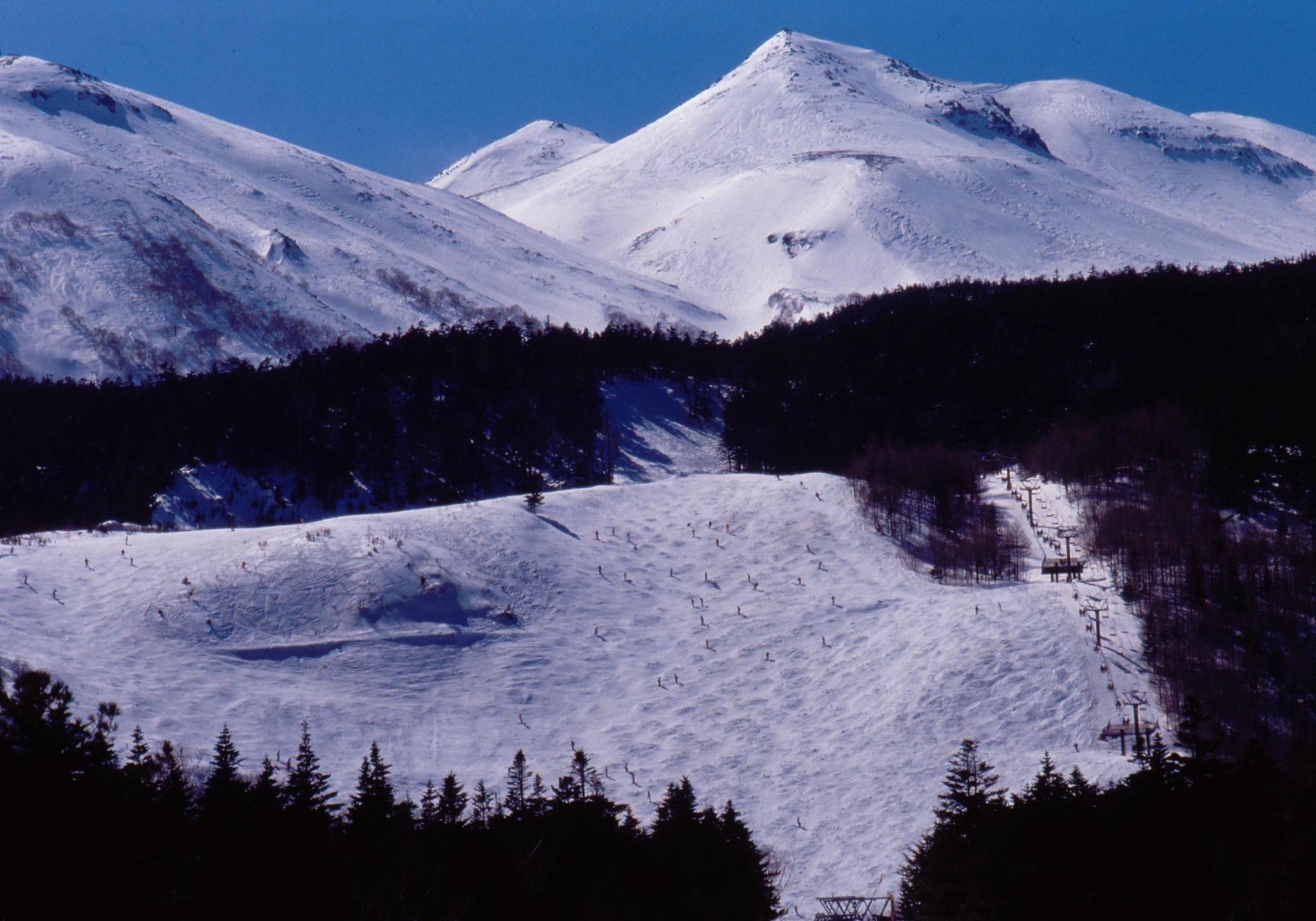 Фото Hotel Gute Welle