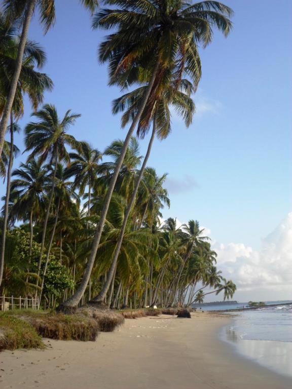 Фото 22394822267